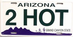 Picture of LP - 1041 AZ Arizona 2 HOT License Plate - 1310