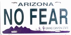 Picture of LP - 1053 AZ Arizona No Fear License Plate - X7811