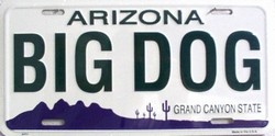 Picture of LP - 1077 AZ Arizona Big Dog License Plate - X061