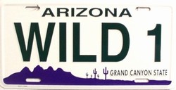 Picture of LP - 1085 AZ Arizona Wild 1 License Plate - 2488