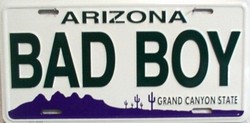 Picture of LP - 1091 AZ Arizona Bad Boy License Plate - A640