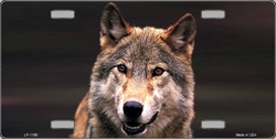 LP - 1189 Wolf License Plate - AB029