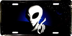 LP - 316 Space Alien License Plate - 2269