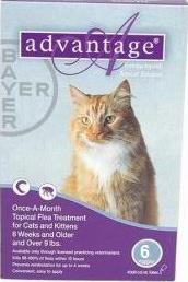 Picture of Bayer ADVANTAGE6-PURPLE Advantage 6 Pack 9 Lbs. & Up - Purple