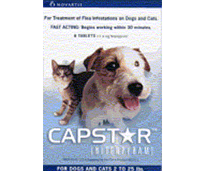 Picture of Novartis BULKCAPSTAR-BLUE Capstar Blue Bulk Pack Cats and Dogs 2-25 Lbs. - 60 Pcs.