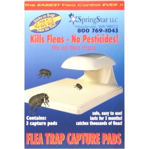 Picture of Springstar PADS Capture Pads For Flea Trap