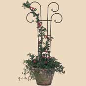Picture of Bosmere L530 36 Inch Scroll Pot Trellis
