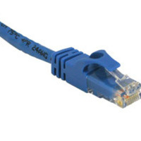 Patch cable - RJ-45 M - RJ-45 M - 5 ft - CAT 6 - blue
