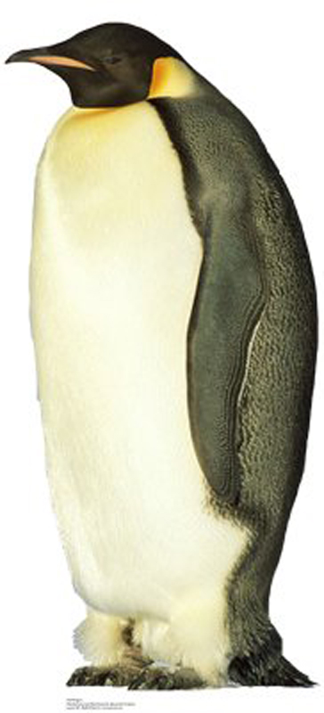 Penguin Life-Size Cardboard Stand-Up