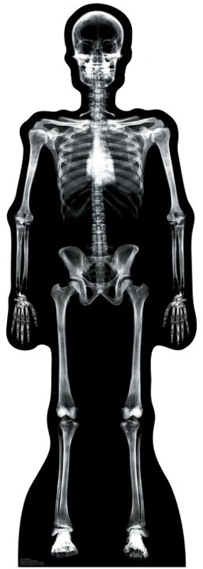 Picture of Advanced Graphics 904 X-Ray Skeleton Life-Size Cardboard Stand-Up