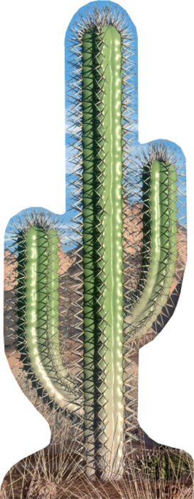 Cactus - Single Life-Size Cardboard Stand-Up