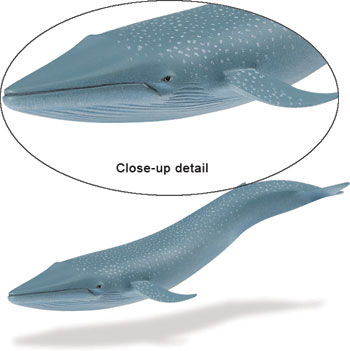 Picture of Safari 223229 Blue Whale Animal Figure 