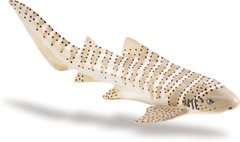 Picture of Safari 223329 Zebra Shark Animal Figure 