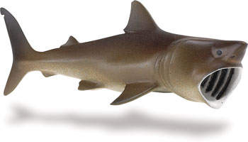 Picture of Safari 223429 Basking Shark Animal Figure 