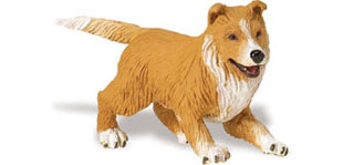 Safari  Collie Puppy Animal Figure