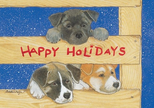 Holiday Boxed Cards- Akita