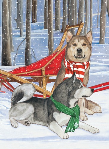 Picture of Pipsqueak Productions C996 Holiday Boxed Cards- Alaskan Malamute