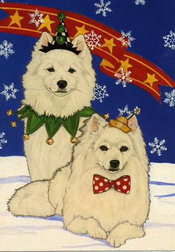 Holiday Boxed Cards- American Eskimo