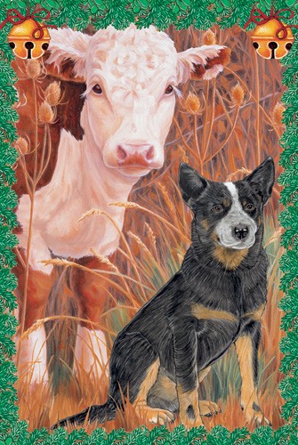 Picture of Pipsqueak Productions C998 Holiday Boxed Cards- Australian Cattle Dog