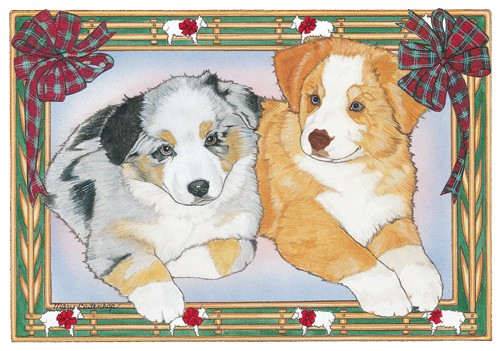 C859 Holiday Boxed Cards- Australian Shepherd