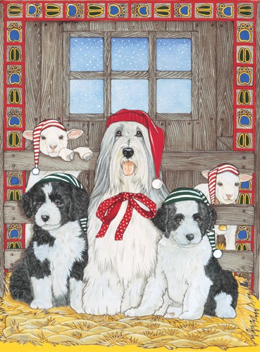 Picture of Pipsqueak Productions C970 Holiday Boxed Cards- Bearded Collie