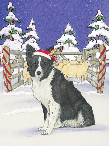 Holiday Boxed Cards- Border Collie
