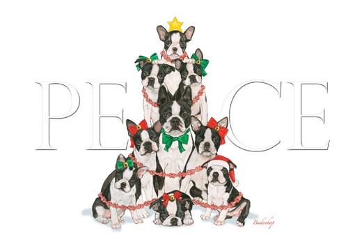Picture of Pipsqueak Productions C542 Holiday Boxed Cards- Boston Terrier