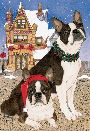 Holiday Boxed Cards- Boston Terrier