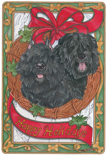 Picture of Pipsqueak Productions C502 Holiday Boxed Cards- Bouvier Des Flandres