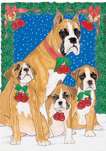 C821 Holiday Boxed Cards- Boxer