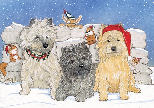 Picture of Pipsqueak Productions C933 Holiday Boxed Cards- Cairn Terrier