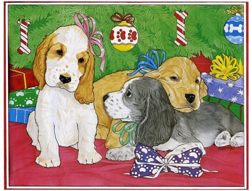 Picture of Pipsqueak Productions C466 Holiday Boxed Cards- Cocker Spaniel English Mix