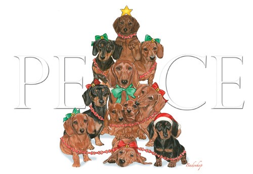 Picture of Pipsqueak Productions C543 Holiday Boxed Cards- Dachshunds