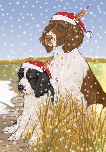 Holiday Boxed Cards- English Springer Spaniel