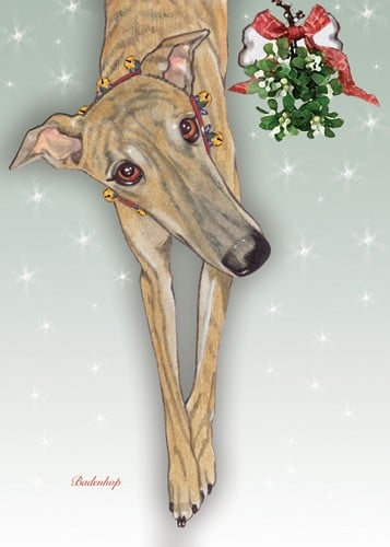 Picture of Pipsqueak Productions C518 Holiday Boxed Cards- Greyhound Brindle