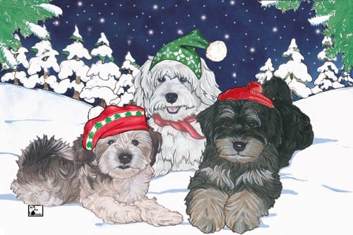 Picture of Pipsqueak Productions C503 Holiday Boxed Cards- Havanese