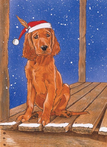 C890 Holiday Boxed Cards- Irish Setter