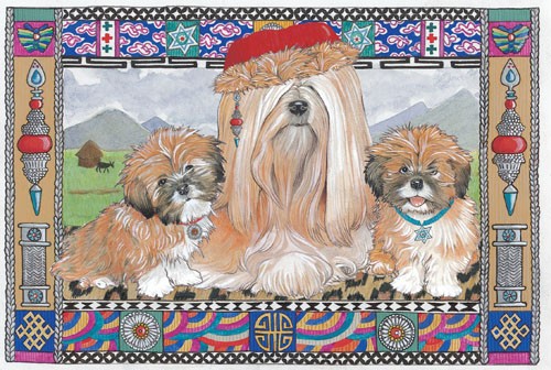 Picture of Pipsqueak Productions C994 Holiday Boxed Cards- Lhasa Apso