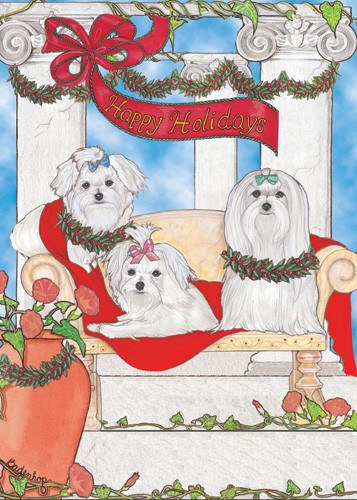 Holiday Boxed Cards- Maltese