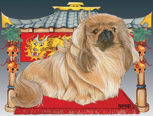 Picture of Pipsqueak Productions C955 Holiday Boxed Cards- Pekingese