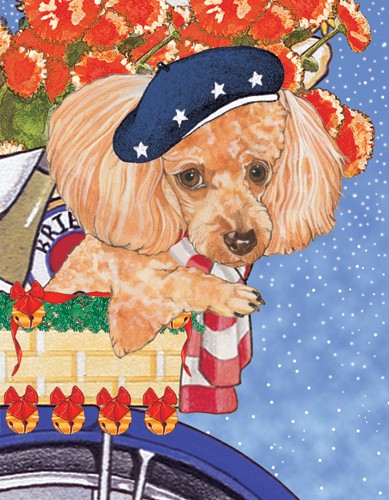 Holiday Boxed Cards- Poodles Toy Apricot
