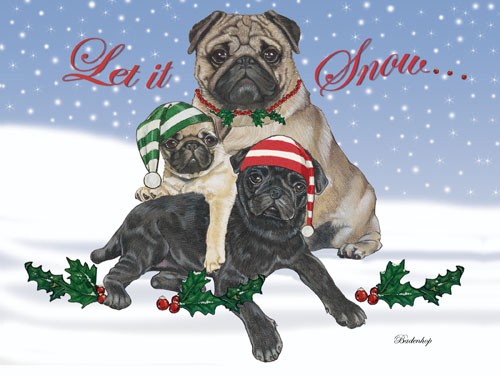 Picture of Pipsqueak Productions C527 Holiday Boxed Cards- Pug