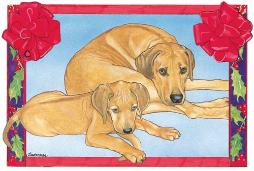 Holiday Boxed Cards- Rhodesian Ridgeback