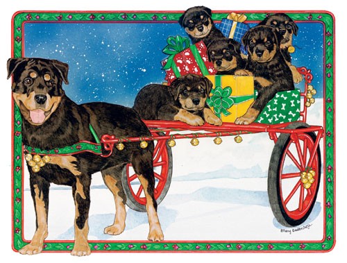 Picture of Pipsqueak Productions C800 Holiday Boxed Cards- Rottweiler