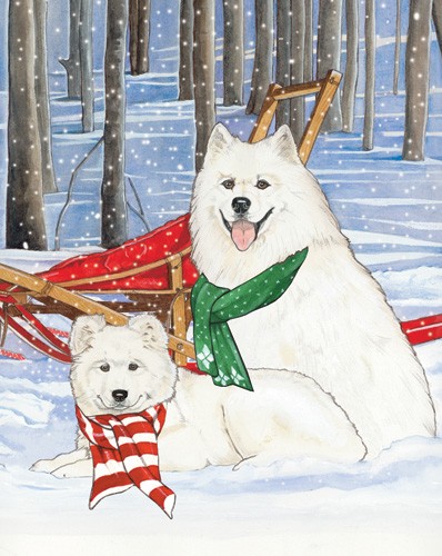 Picture of Pipsqueak Productions C956 Holiday Boxed Cards- Samoyed