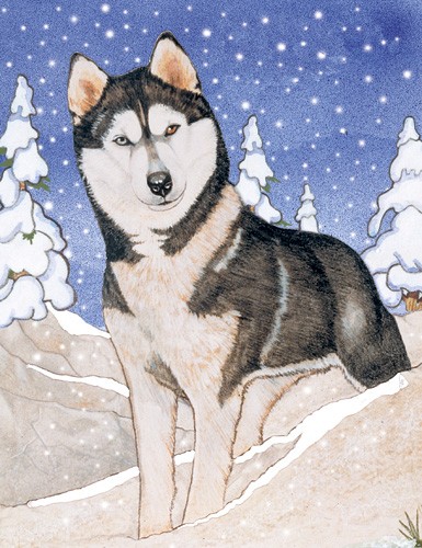 Holiday Boxed Cards- Siberian Husky