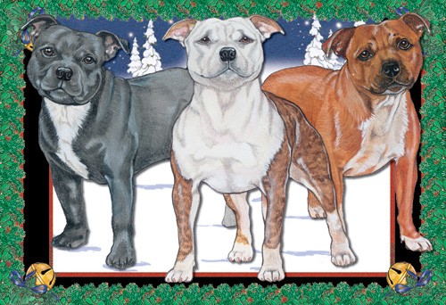 Picture of Pipsqueak Productions C512 Holiday Boxed Cards- Staffordshire Bull Terrier