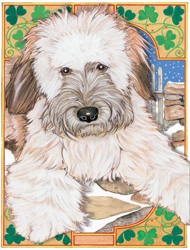 Holiday Boxed Cards- Wheaten Terrier