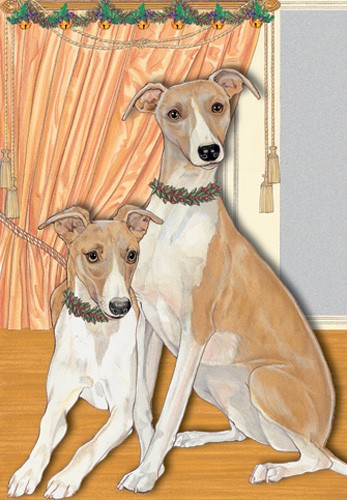 C885 Holiday Boxed Cards- Whippet
