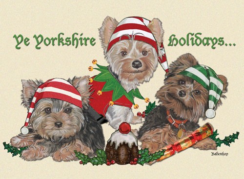 Picture of Pipsqueak Productions C528 Holiday Boxed Cards- Yorkshire Terriers